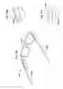 Fig. 81 - 3D GLASSES