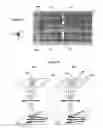 Fig. 07 - System and device for optical detection of particles with an array for decoupling optical information, corresponding manufacturing method