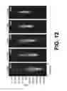 Fig. 09 - Extreme light pulse-front tilt and its application to single shot measurement of picosecond to nanosecond laser pulses