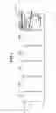Fig. 02 - Image forming apparatus, postprocessing apparatus, option apparatus, image forming system, and controller