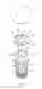 Fig. 02 - Luminaire