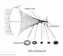 Fig. 02 - Method and apparatus for determining an optimal focus bias and spherical aberration compensating value in an optical disc drive