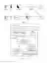 Fig. 02 - Method, system and terminal for accessing packet data serving node