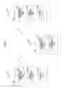 Fig. 02 - MOBILE WIRELESS COMMUNICATION SYSTEM AND WIRELESS COMMUNICATION APPARATUS