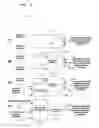 Fig. 08 - Generating a composite signal with code division multiplexing (CDM) and time division multiplexing (TDM) pilots
