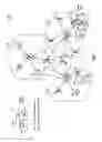 Fig. 02 - Determination of network synchronization