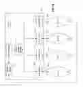 Fig. 11 - METHOD AND APPARATUS FOR ROUTING BETWEEN FIBRE CHANNEL FABRICS