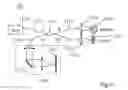 Fig. 07 - Method of bioimage data processing for revealing more meaningful anatomic features of diseased tissues