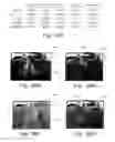Fig. 22 - Method of identifying an object in a visual scene