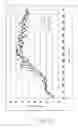 Fig. 09 - Age estimation apparatus, age estimation method, and age estimation program