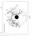 Fig. 09 - Omnidirectional image processing device and method using warp processing for enhanced object visibility