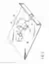Fig. 02 - Optical ribbon and method of forming same