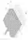 Fig. 02 - Water-permeable and water-absorbable ecological paving