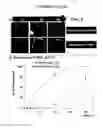 Fig. 09 - POROUS STRUCTURES WITH MODIFIED BIODEGRADATION KINETICS