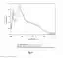 Fig. 16 - BIOACTIVE COMPOSITIONS FROM THEACEA PLANTS AND PROCESSES FOR THEIR PRODUCTION AND USE