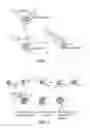 Fig. 02 - Methods and Agent for Modulating the RNA Polymerase II-Histone Surface