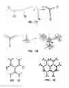 Fig. 02 - DENDRIMER-LIKE MODULAR DELIVERY VECTOR