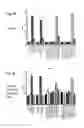 Fig. 08 - METHODS OF TREATING LUNG DISEASE AND OTHER INFLAMMATORY DISEASES