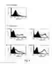 Fig. 07 - T CELL COSTIMULATING POLYPEPTIDES AND USES THEREOF