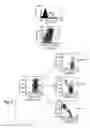 Fig. 08 - T CELL COSTIMULATING POLYPEPTIDES AND USES THEREOF