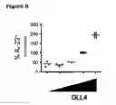 Fig. 07 - Methods of modulating interleukin-22 and immune response by notch regulators