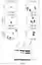 Fig. 04 - Methods for Treating Autophagy-Related Disorders