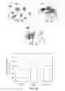 Fig. 08 - Methods for Treating Autophagy-Related Disorders