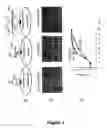 Fig. 02 - Biomolecule Surface Display and Uses Thereof