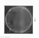 Fig. 05 - Substrate peptide sequences for plague plasminogen activator and uses thereof