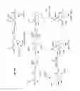 Fig. 15 - Substrate peptide sequences for plague plasminogen activator and uses thereof