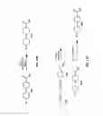 Fig. 17 - Substrate peptide sequences for plague plasminogen activator and uses thereof