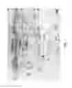 Fig. 02 - LIVE ATTENUATED MYCOPLASMA STRAINS