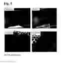 Fig. 06 - Composition comprising silver nanoparticles and extracts of Polygonum Multiforum Thunb and the use thereof