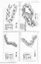 Fig. 07 - MULTIPHASIC MICROFIBERS FOR SPATIALLY GUIDED CELL GROWTH