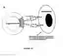 Fig. 03 - Compositions and methods for wound healing