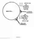 Fig. 08 - Compositions and methods for wound healing