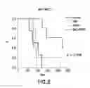 Fig. 09 - COMBINATION THERAPY WITH PARP INHIBITORS