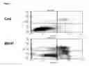 Fig. 02 - Anticancer Methods Employing Extracts of Gleditsia sinensis Lam