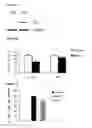 Fig. 09 - Anticancer Methods Employing Extracts of Gleditsia sinensis Lam