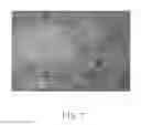 Fig. 02 - CARBON NANOTUBE WIRE COMPOSITE STRUCTURE AND METHOD FOR MAKING THE SAME