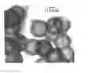 Fig. 01 - Mesoporous silica particles
