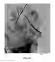 Fig. 04 - Lithium super-battery with a functionalized nano graphene cathode