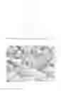 Fig. 06 - High manganese polycrystalline anode material, preparation method thereof and dynamic lithium ion battery