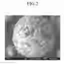 Fig. 03 - NEGATIVE ACTIVE MATERIAL FOR RECHARGEABLE LITHIUM BATTERY, METHOD OF PREPARING SAME, AND RECHARGEABLE LITHIUM BATTERY INCLUDING SAME