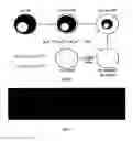Fig. 02 - Gold nanostructures and methods of use