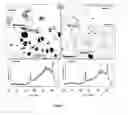 Fig. 04 - Gold nanostructures and methods of use