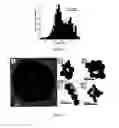 Fig. 08 - Gold nanostructures and methods of use
