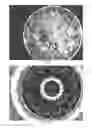 Fig. 14 - Composite liquid cells