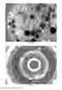 Fig. 15 - Composite liquid cells