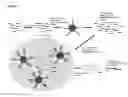 Fig. 08 - METHOD FOR ANALYSIS OF NUCLEIC ACID POPULATIONS